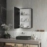 Зеркальный шкаф Reflexion Black 560х850 RF2001BL с подсветкой Черный матовый
