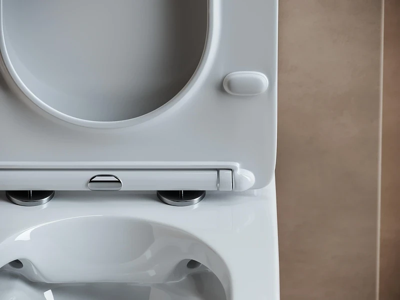 Унитаз компакт Ceramicanova Fortuna CN9001-B цвет Белый без бачка с сиденьем Микролифт