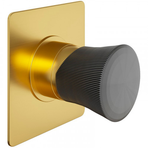 Смеситель для душа Paini Domus 18PJ690PZ Золото матовое