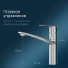 Смеситель для кухни AM.PM Gem F90A00000 Хром латунь