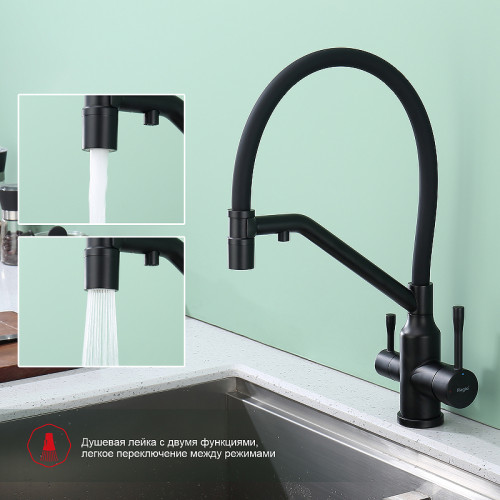 Смеситель для кухни Raglo R81.62.06 Черный матовый латунь