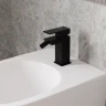 Смеситель для биде WasserKRAFT Abens 2006 Черный матовый латунь