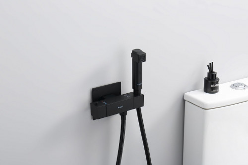 Гигиенический душ со смесителем Raglo R24.56.06 с термостатом Черный матовый латунь встраиваемый