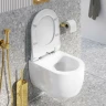 Унитаз Excellent Odyss CENL.4609.490.WH подвесной с сиденьем Микролифт фаянс подвесной