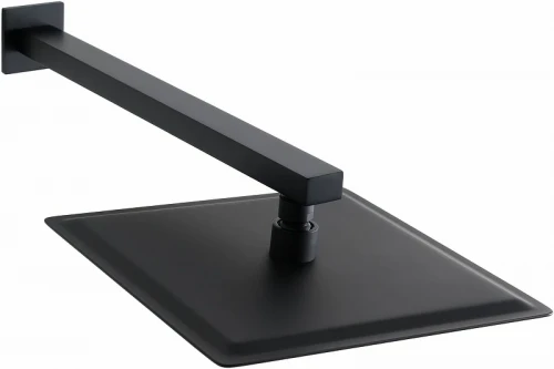Верхний душ Allen Brau Infinity 5.21019-31 Черный матовый нержавеющая сталь на стену