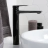 Смеситель для раковины WasserKRAFT Glan 6603H Черный глянцевый латунь