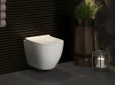Комплект унитаза с инсталляцией Berges Okus 043276 с сиденьем Микролифт и клавишей смыва Хром матовый фарфор подвесной
