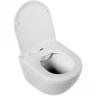 Комплект унитаза BelBagno Amanda BB051CHR+BB051SC с сиденьем Микролифт и инсталляцией Jacob Delafon E29025-NF+E4316-CP с клавишей смыва Хром фаянс подвесной