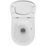 Комплект унитаза Owl 1975 Vind Cirkel-H TOWLT190302 с инсталляцией Grohe Rapid SL 38721001 с сиденьем Микролифт и клавишей смыва Хром фарфор подвесной