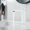 Смеситель для раковины Shevanik S9901C цвет Белый