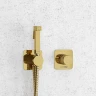 Гигиенический душ со смесителем WasserKRAFT Ems A7651.280.238.216 Золото глянцевое латунь встраиваемый