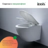 Комплект унитаза с инсталляцией Iddis Basic BASBQ02i73 с сиденьем Микролифт и Черной матовой клавишей смыва