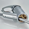 Смеситель для кухни Frap H03 F6003 Хром латунь