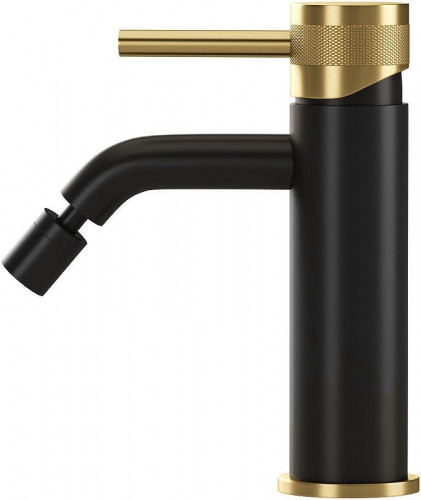 Смеситель для биде Allen Brau Priority 5.31A04-31GB цвет Черный Золото