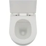 Комплект унитаза AQUAme AQM2002 с инсталляцией Grohe Rapid SL 38721001 с сиденьем Микролифт и клавишей смыва Хром фаянс подвесной
