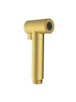 Гигиенический душ AltroBagno Modern 060206 BG цвет Золото матовое