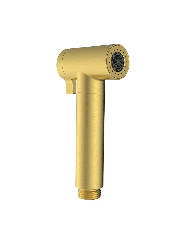 Гигиенический душ AltroBagno Modern 060206 BG цвет Золото матовое