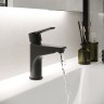 Смеситель для раковины Laparet Alamera N2015929LPT Черный латунь