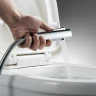 Гигиенический душ со смесителем Rose R1805-1 цвет Хром