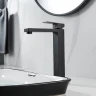 Смеситель для раковины Shevanik S9611H цвет Черный