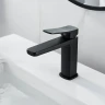 Смеситель для раковины Shevanik S9901H цвет Черный