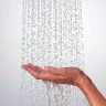 Ручной душ Hansgrohe Raindance Select S 26530670 Черный матовый пластик