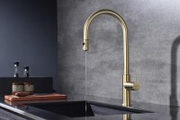 Смеситель для кухни Paulmark Galant Ga213077-SBG Светлое брашированное золото латунь