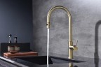 Смеситель для кухни Paulmark Galant Ga213077-SBG Светлое брашированное золото латунь