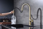 Смеситель для кухни Paulmark Galant Ga213077-SBG Светлое брашированное золото латунь