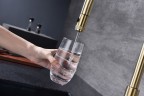 Смеситель для кухни Paulmark Galant Ga213077-SBG Светлое брашированное золото латунь