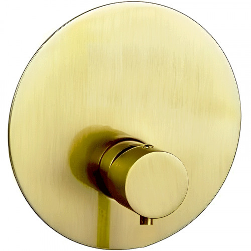 Смеситель для душа Remer Minimal Thermo NT30KBBG с термостатом Золото брашированное латунь встраиваемый