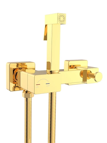 Гигиенический душ со смесителем WeltWasser Higi Q02 GL 10000013678 цвет Золото