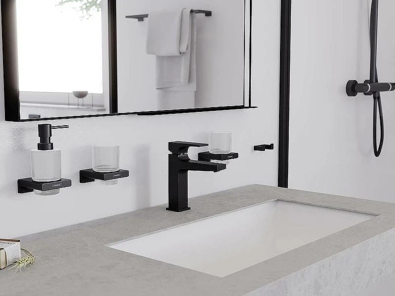 Двойной крючок Hansgrohe AddStoris 41755340 Шлифованный черный хром