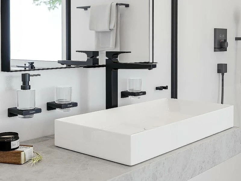 Двойной крючок Hansgrohe AddStoris 41755340 Шлифованный черный хром