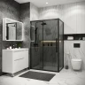 Душевой уголок Grossman Cosmo 100х80 120.K33.02.1080.21.10 профиль Черный матовый стекло тонированное