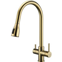 Смеситель для кухни Paulmark Lange La214212-G Золото латунь
