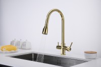 Смеситель для кухни Paulmark Lange La214212-G Золото латунь