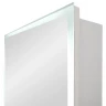 Зеркальный шкаф Reflexion Cube 600х800 RF2211CB с подсветкой Белый матовый