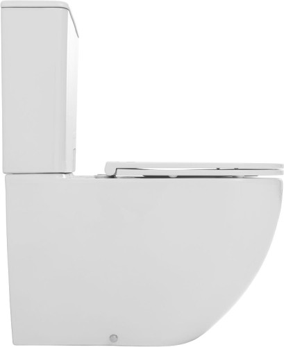Унитаз-компакт Allen Brau Priority 4.31006.20 цвет Белый с бачком и сиденьем Микролифт