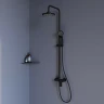 Душевая система RGW Shower Panels SP-26B 59140126-04 Черная латунь на стену