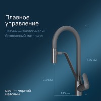 Смеситель для кухни AM.PM Like F8007822 Черный латунь