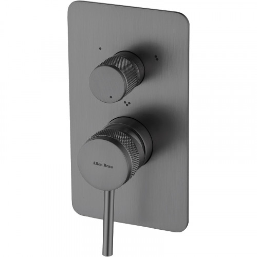 Смеситель для душа Allen Brau Priority 5.31A11-MG Графит брашированный латунь встраиваемый