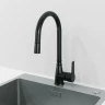 Смеситель для кухни Laparet Alamera N2040929LPT Черный латунь