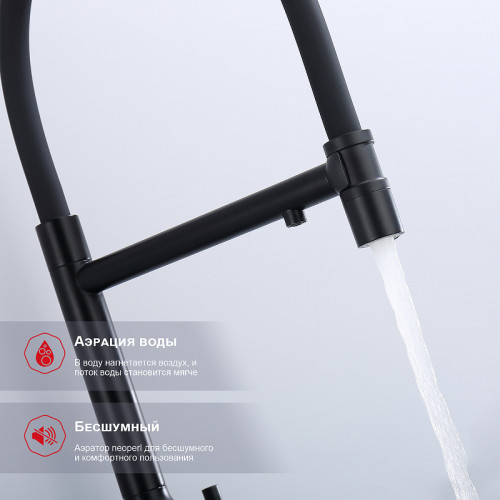 Смеситель для кухни Raglo R81.63.06 Черный матовый латунь