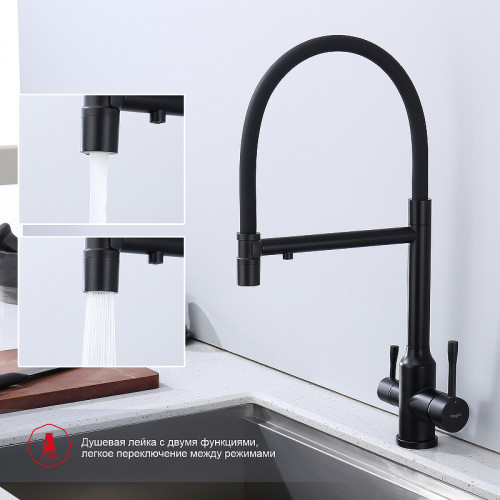 Смеситель для кухни Raglo R81.63.06 Черный матовый латунь