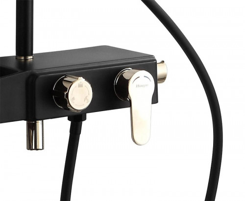 Душевая система Azario AZ-801-2 цвет Черный Золото