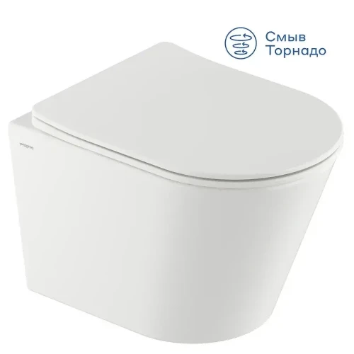 Унитаз подвесной Pragma Olako 901855.OLK1.GWWT.001-2 цвет Белый глянцевый с сиденьем Микролифт