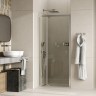 Душевая дверь WasserKRAFT Aula 100 11P12 профиль Хром стекло прозрачное