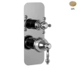 Смеситель для душа Fima Carlo Frattini Elizabeth F5089X6OR цвет Золото