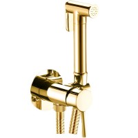 Гигиенический душ со смесителем Webert Sax Evolution SE870303010 Золото латунь на стену